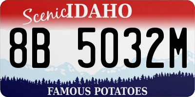 ID license plate 8B5032M