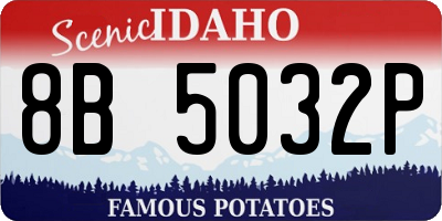 ID license plate 8B5032P