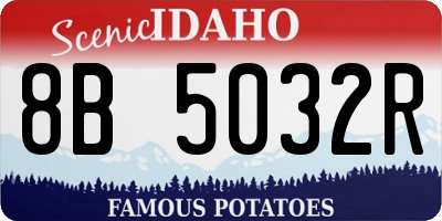 ID license plate 8B5032R