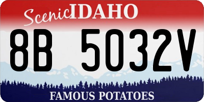 ID license plate 8B5032V