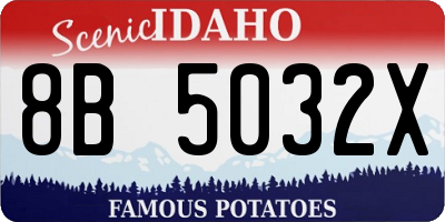 ID license plate 8B5032X
