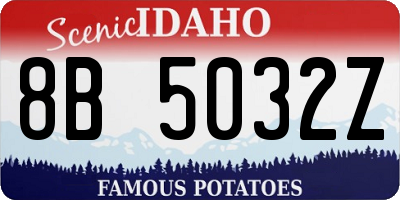 ID license plate 8B5032Z