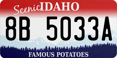 ID license plate 8B5033A