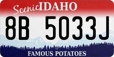 ID license plate 8B5033J