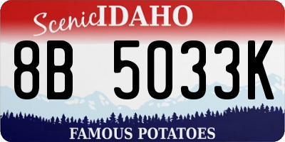 ID license plate 8B5033K