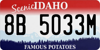 ID license plate 8B5033M