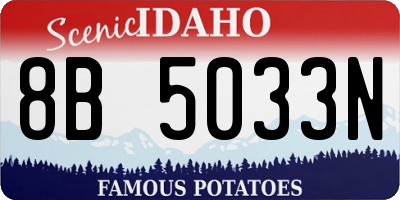 ID license plate 8B5033N