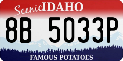 ID license plate 8B5033P