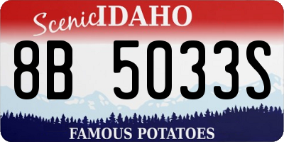 ID license plate 8B5033S