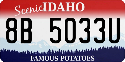 ID license plate 8B5033U