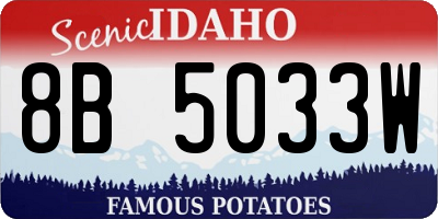 ID license plate 8B5033W