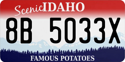 ID license plate 8B5033X