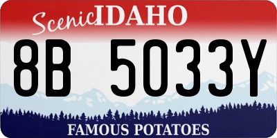 ID license plate 8B5033Y