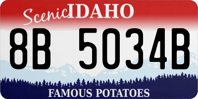ID license plate 8B5034B