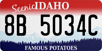 ID license plate 8B5034C