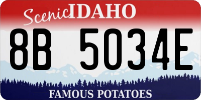 ID license plate 8B5034E