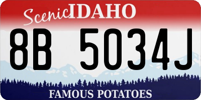 ID license plate 8B5034J