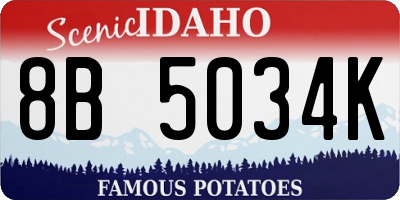 ID license plate 8B5034K