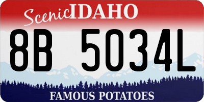 ID license plate 8B5034L