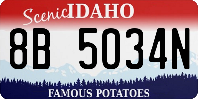ID license plate 8B5034N
