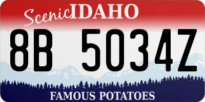 ID license plate 8B5034Z