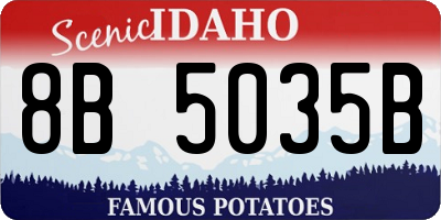ID license plate 8B5035B