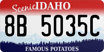 ID license plate 8B5035C