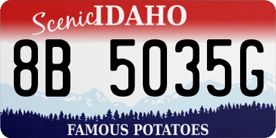 ID license plate 8B5035G