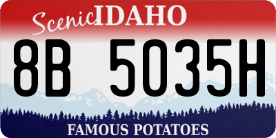 ID license plate 8B5035H