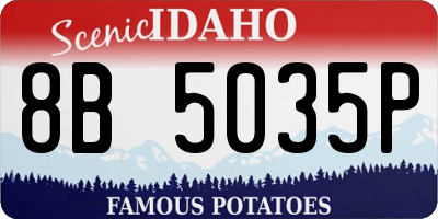 ID license plate 8B5035P