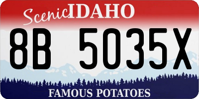 ID license plate 8B5035X