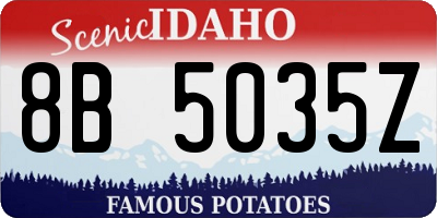 ID license plate 8B5035Z