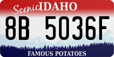 ID license plate 8B5036F