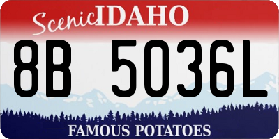 ID license plate 8B5036L