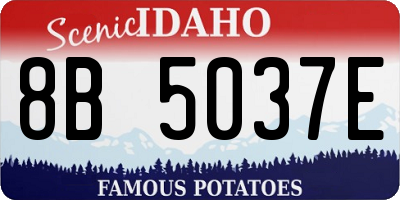 ID license plate 8B5037E