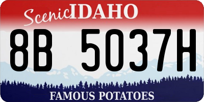 ID license plate 8B5037H