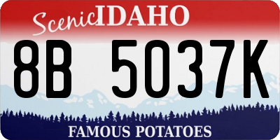 ID license plate 8B5037K