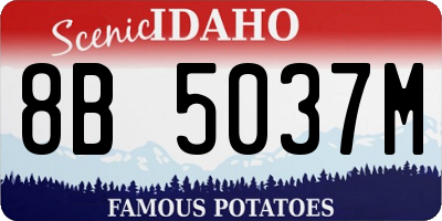 ID license plate 8B5037M