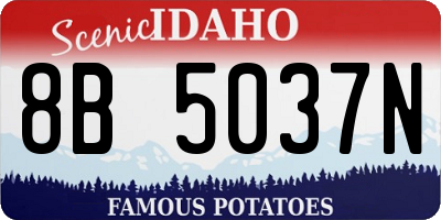 ID license plate 8B5037N