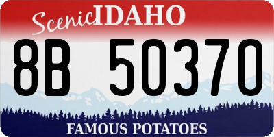 ID license plate 8B5037O