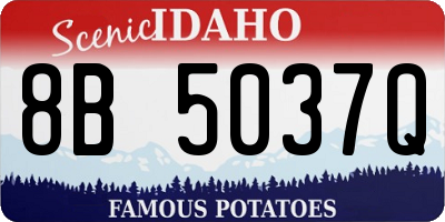 ID license plate 8B5037Q