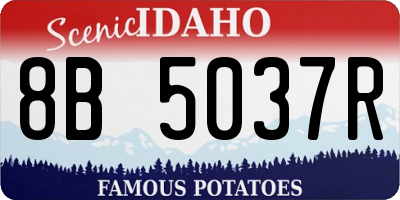 ID license plate 8B5037R