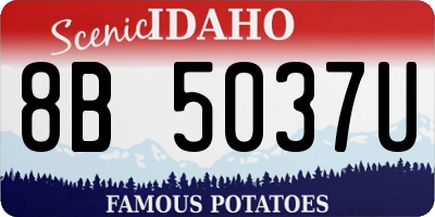ID license plate 8B5037U