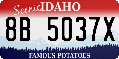 ID license plate 8B5037X
