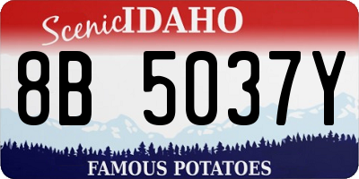 ID license plate 8B5037Y