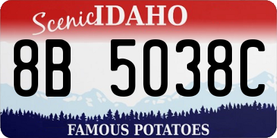 ID license plate 8B5038C
