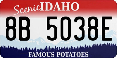 ID license plate 8B5038E
