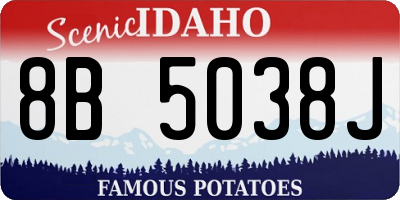 ID license plate 8B5038J