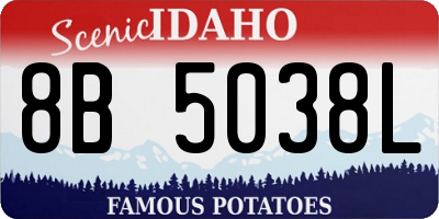 ID license plate 8B5038L