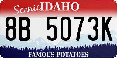 ID license plate 8B5073K